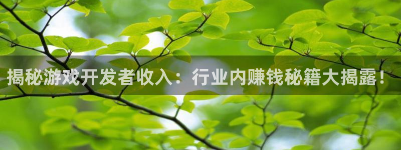 沐鸣科技业务：揭秘游戏开发者收入：行业内