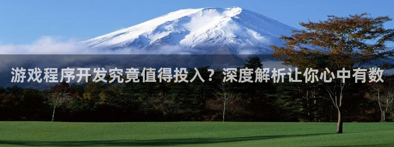 沐鸣平台代理注册多少钱一年：游戏程序开发