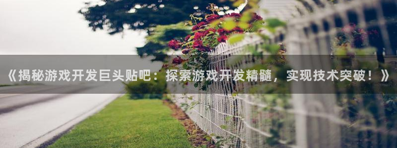 沐鸣网址官网：《揭秘游戏开发巨头贴吧：探