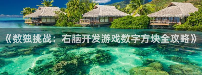 沐鸣3注册登录：《数独挑战：右脑开发游戏
