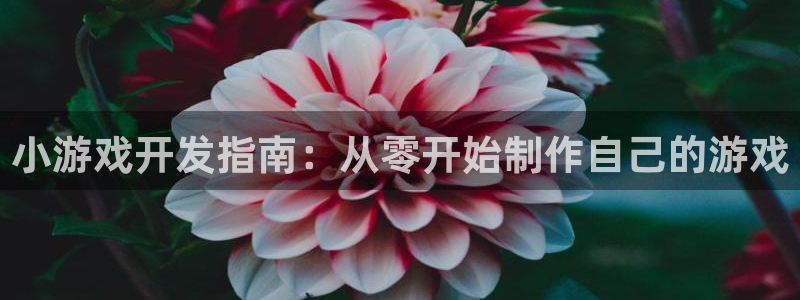 沐鸣登录网址是什么：小游戏开发指南：从零