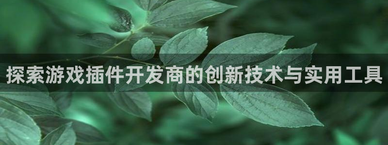 沐鸣注册网站：探索游戏插件开发商的创新技