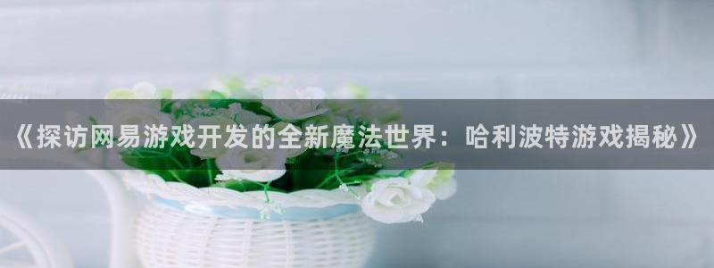 沐鸣注册登录：《探访