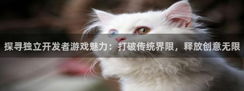 沐鸣娱乐平台登录网址：探寻独立开发者游戏