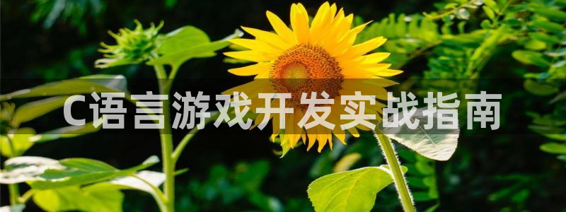 沐鸣娱乐客服：C语言游戏开发实战指南