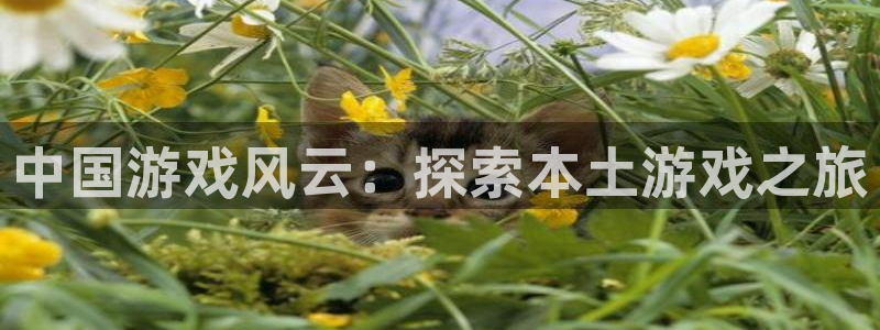 沐鸣娱乐平台大不大呀：中国游戏风云：探索