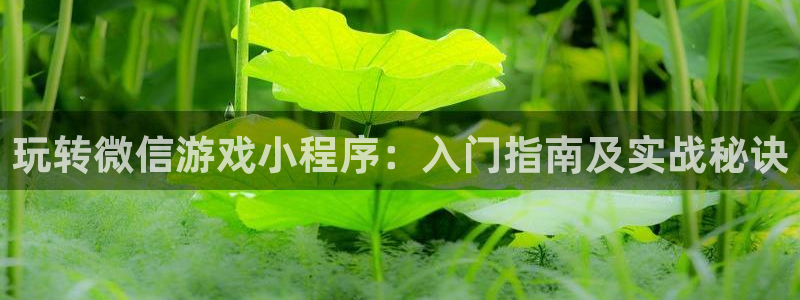 沐鸣娱乐平台反点