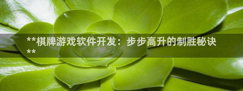 沐鸣科技业务