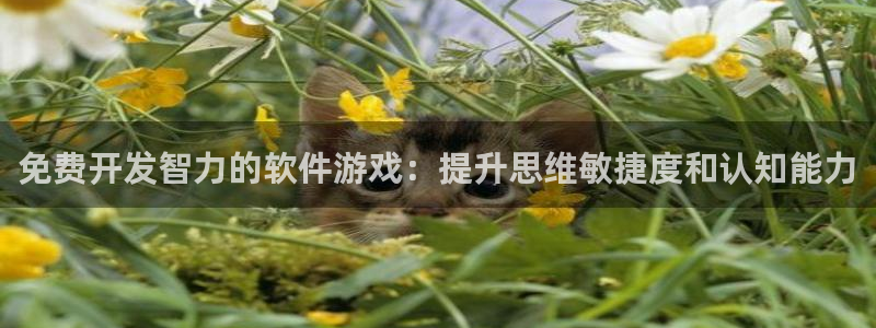 沐鸣平台注册资金多少钱