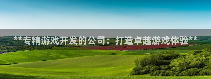 沐鸣3注册代理：**专精游戏开发的公司：
