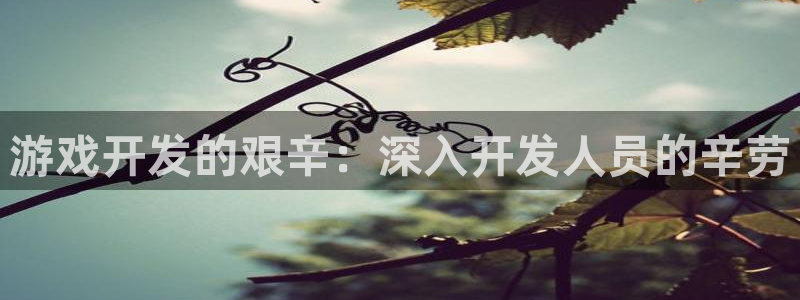 沐鸣娱乐是真的吗：游戏开发的艰辛：深入开