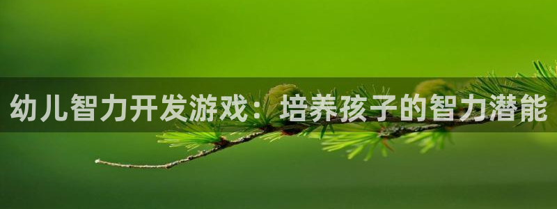 沐鸣平台168：幼儿智力开发游戏：培养孩