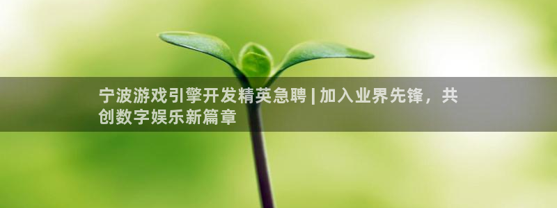 沐鸣平台招商怎么样：宁波游戏引擎开发精英