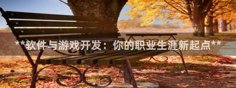 沐鸣咨询：**软件与游戏开发：你的职业生