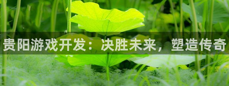 沐鸣科技游戏app：贵阳游戏开发：决胜未