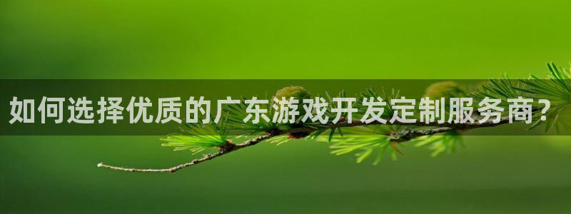 沐鸣娱乐平台反点：如何选择优质的广东游戏