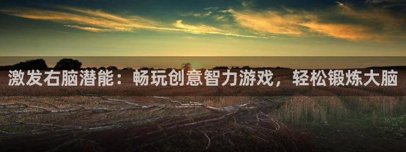 沐鸣代理登陆：激发右脑潜能：畅玩创意智力