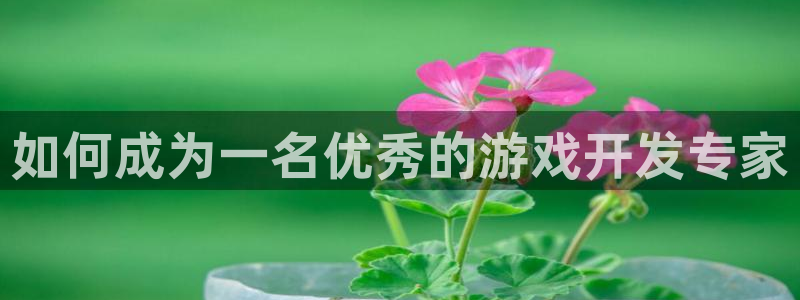 沐鸣科技做的游戏：如何成为一名优秀的游戏
