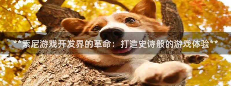 沐鸣娱乐注册平台官网：**索尼游戏开发界