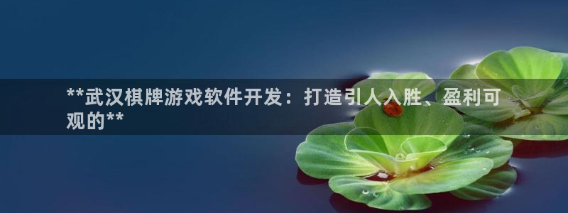 沐鸣科技游戏：**武汉棋牌游戏软件开发：