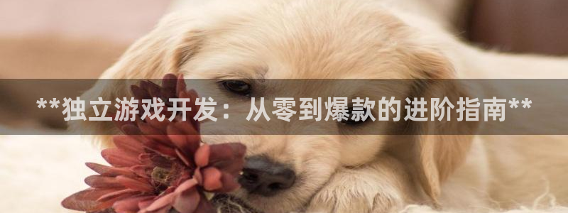 沐鸣科技和沐瞳科技：**独立游戏开发：从