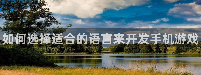 沐鸣官网注册：如何选择适合的语言来开发手