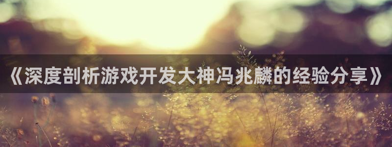 沐鸣4招商：《深度剖析游戏开发大神冯兆麟