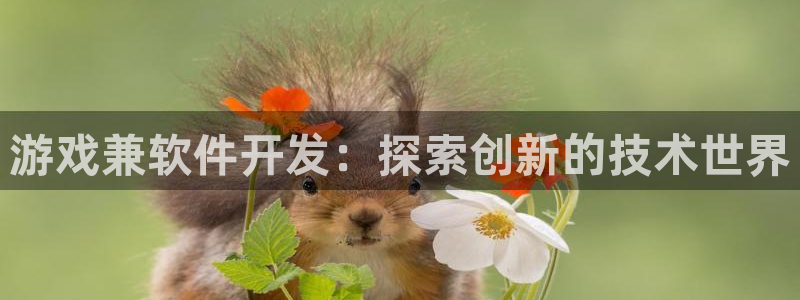 沐鸣注册会员中心：游戏兼软件开发：探索创