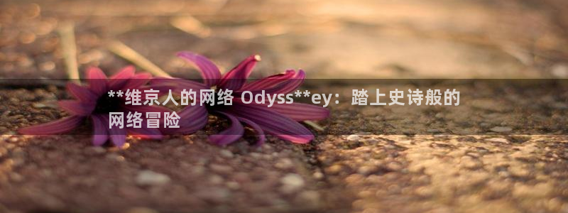 沐鸣3平台登录：**维京人的网络 Ody