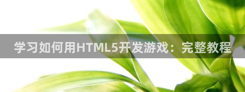 沐鸣娱乐怎么注册会员：学习如何用HTML