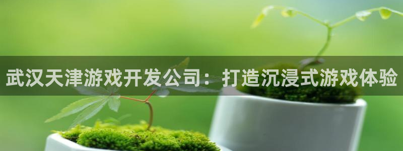 沐鸣娱乐平台怎么样：武汉天津游戏开发公司